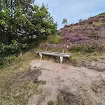4 Star In Romo Holiday home Bolilmark